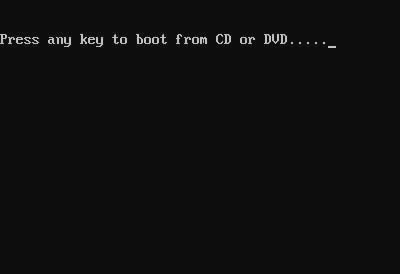 Press any key to boot from CD or DVD．．．